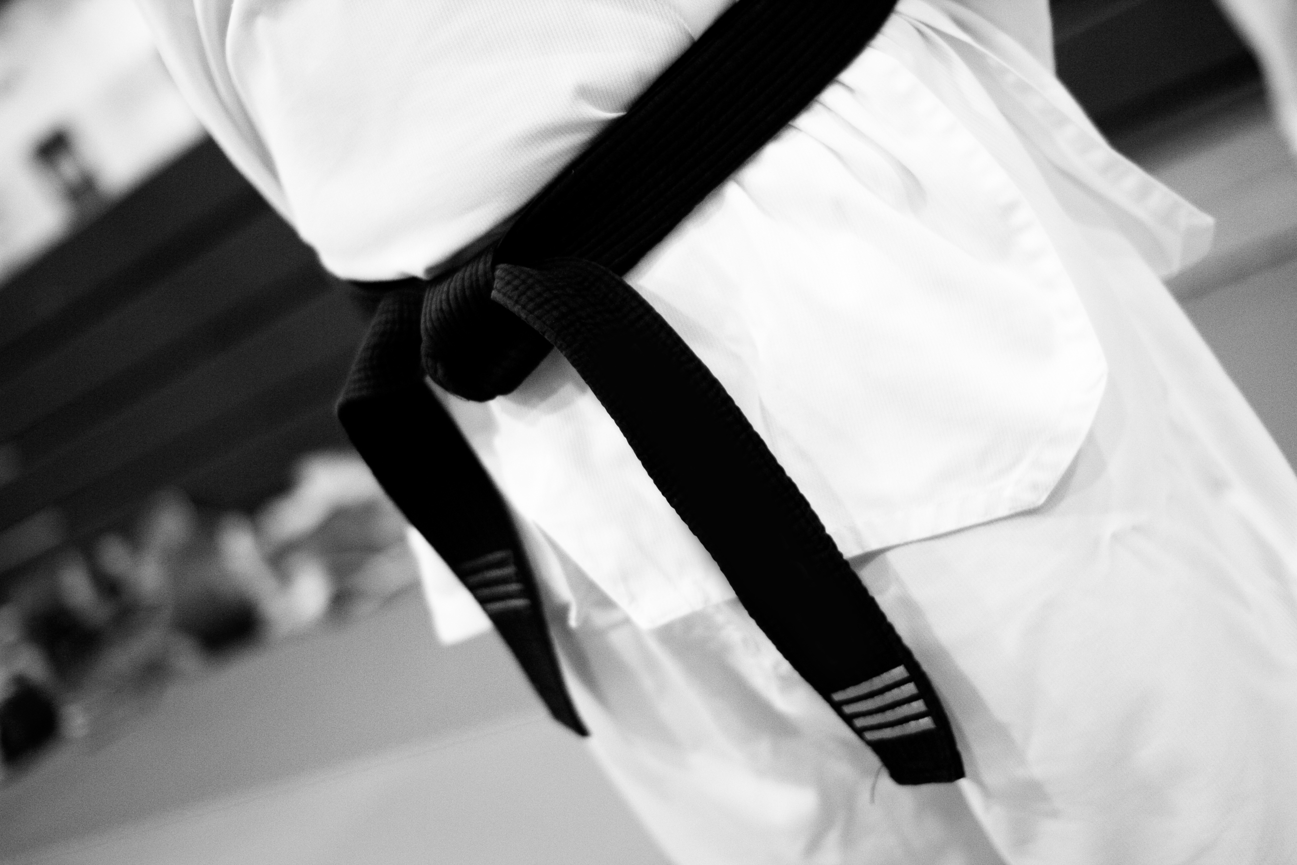 Séminaire ceinture noire 2015 - Association Belge Francophone de Taekwondo